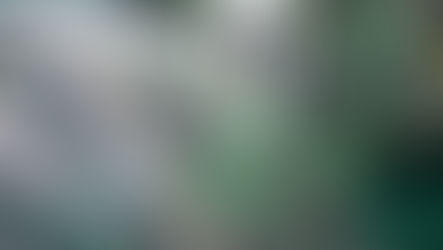 Used DDR4 and DDR5 RDIMM server memory modules ready for resale and enterprise buyback – server-parts.eu