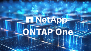 What is NetApp ONTAP One License: Everything You Need to Know