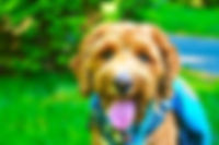 image3(3).jpeg