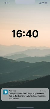 In Store Notification.png