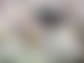 Nothing like telling Bo stories when you were along for the ride