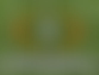 The 12-team College Football Playoff can't get here soon enough