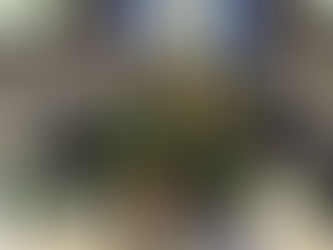 No NIT banner, but UAB hoops is in a very good place