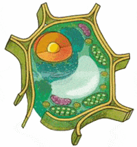 image632250e4c2c8e.gif