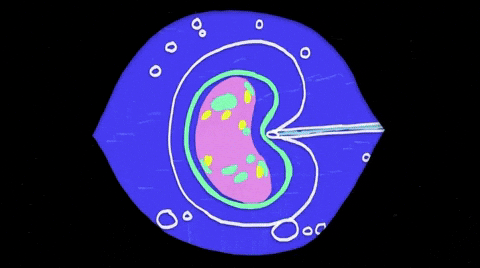 Cell Division Mind Blown GIF by Massive Science.gif
