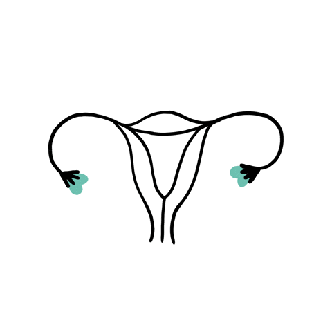 Womens Rights Hearts GIF by #OvaryAct.gif