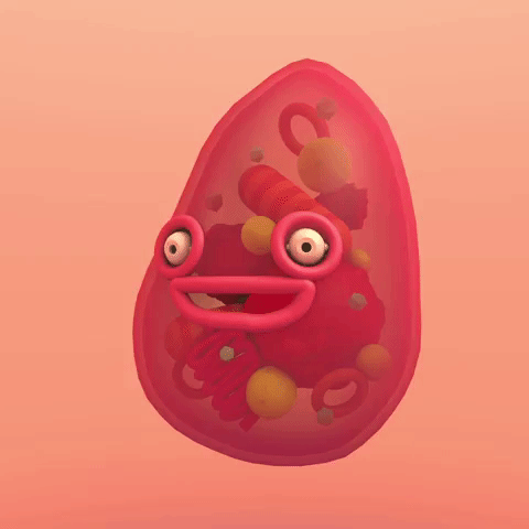 Cdg.gif