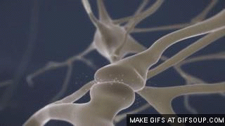 image625b0e0cc3c90.gif