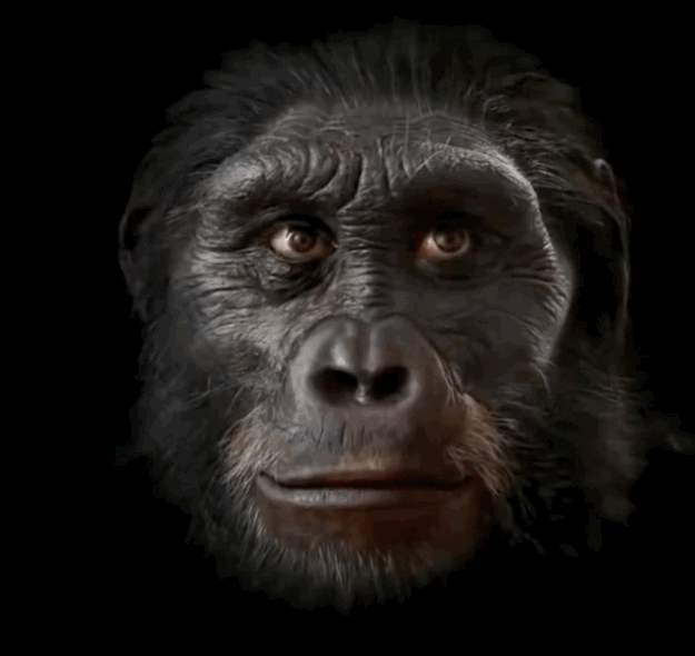 e5c81382bdf3dd68c6c51fa4568bb362.gif