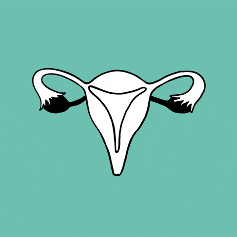 Sassy Womens Rights GIF by #OvaryAct.gif