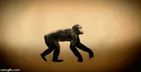 7828ef4aa15ca760c3f797dd88a94171.gif