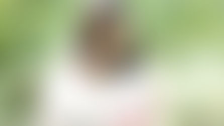 タイトルが入ります。