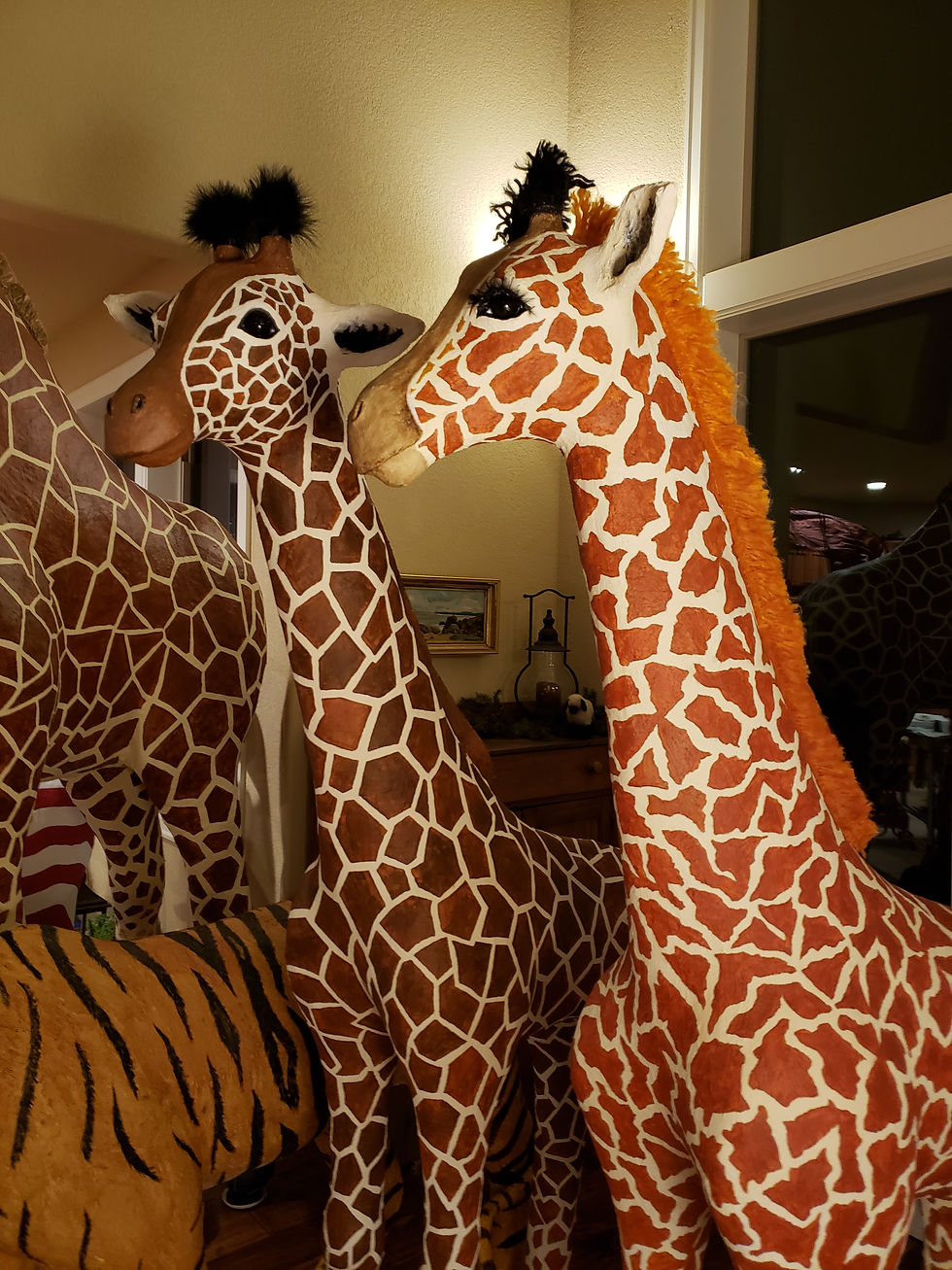 Thumbnail: Masai Baby Giraffe