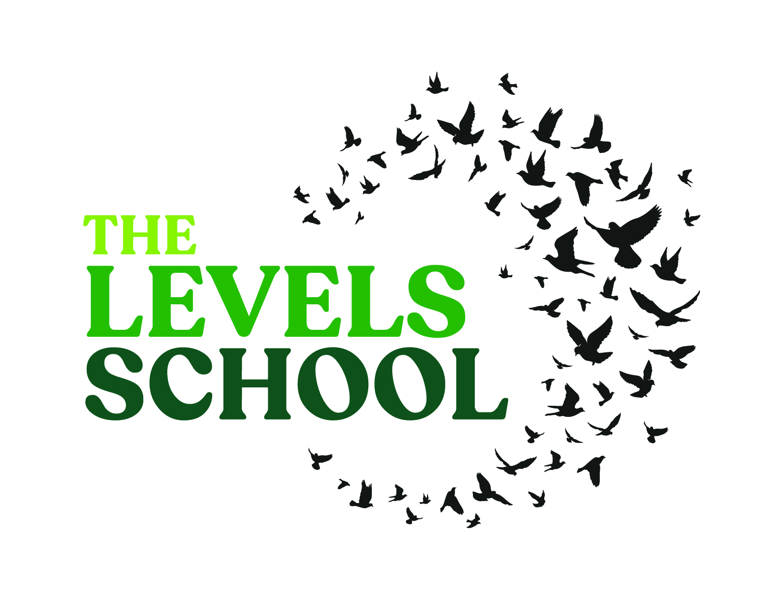 The Levels School logo