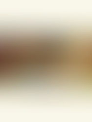 シャケの甘酢煮弁当　