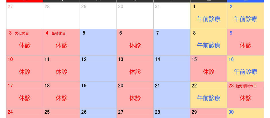 2024年11月診療日