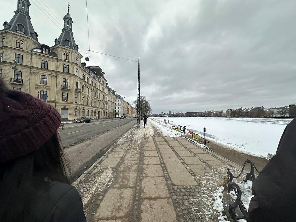 During a unit about pedestrian infrastructure, we were assigned streets which to explore and analyze from a walker’s perspective.