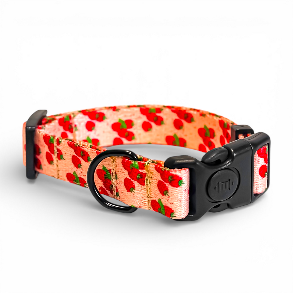 Obroża Zatrzaskowa "Raspberry"