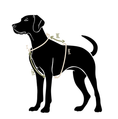 Grafika_bez_nazwy (4).png