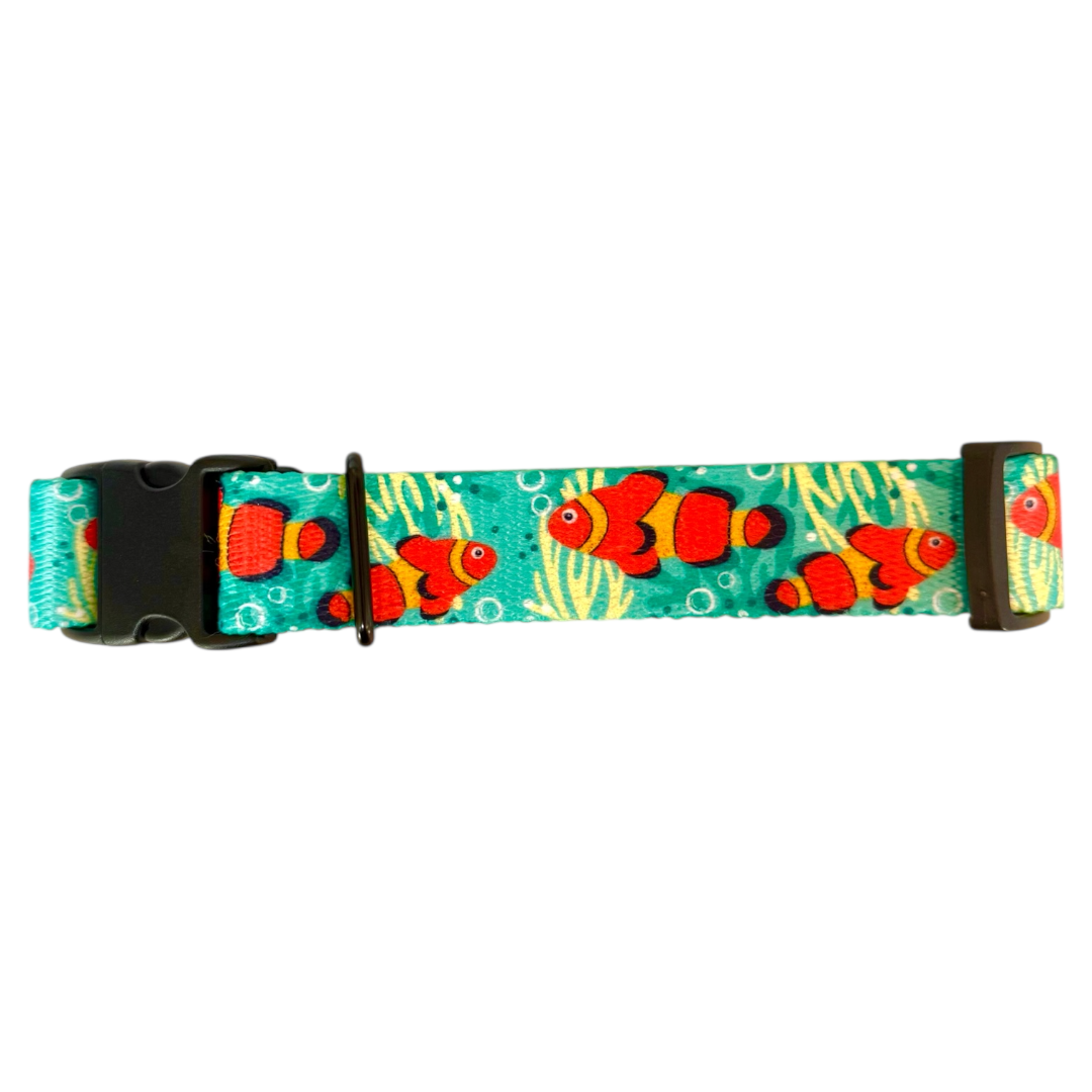 Obroża Zatrzaskowa „Nemo”