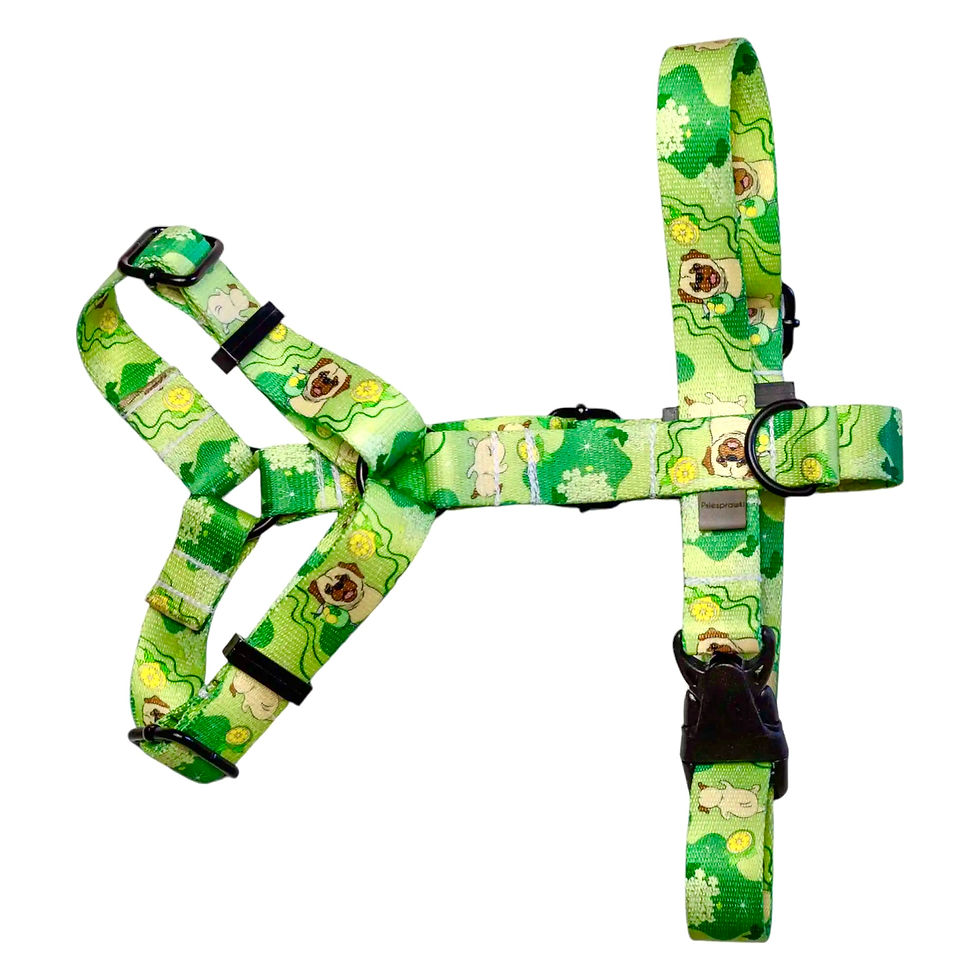 Szelki Guard we wzorze "Hugo"