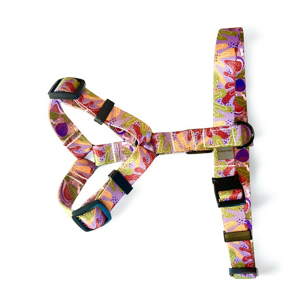 Szelki Guard we wzorze "Figle-Migle"