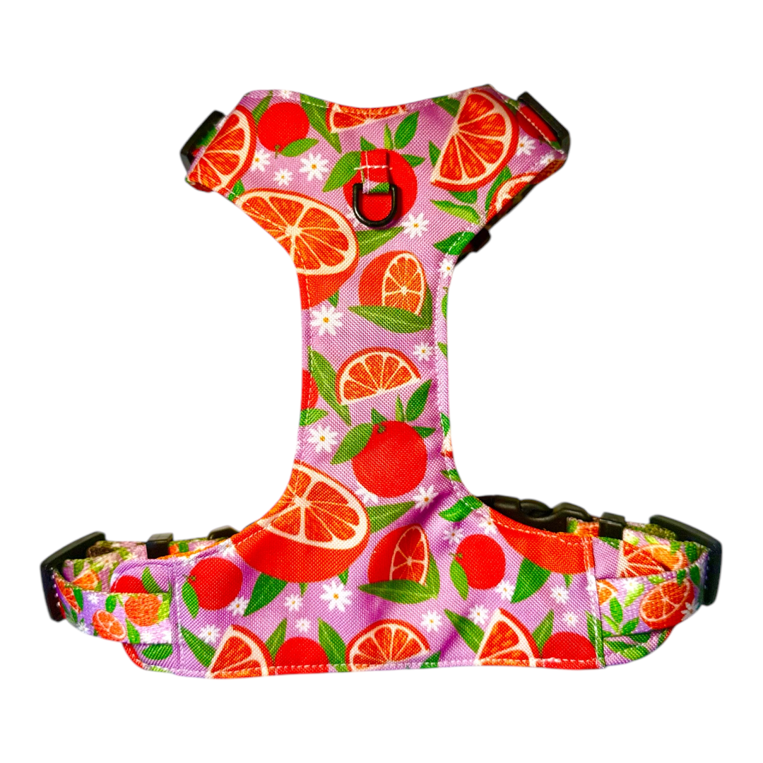 Szelki Bezuciskowe „Orange Crush”