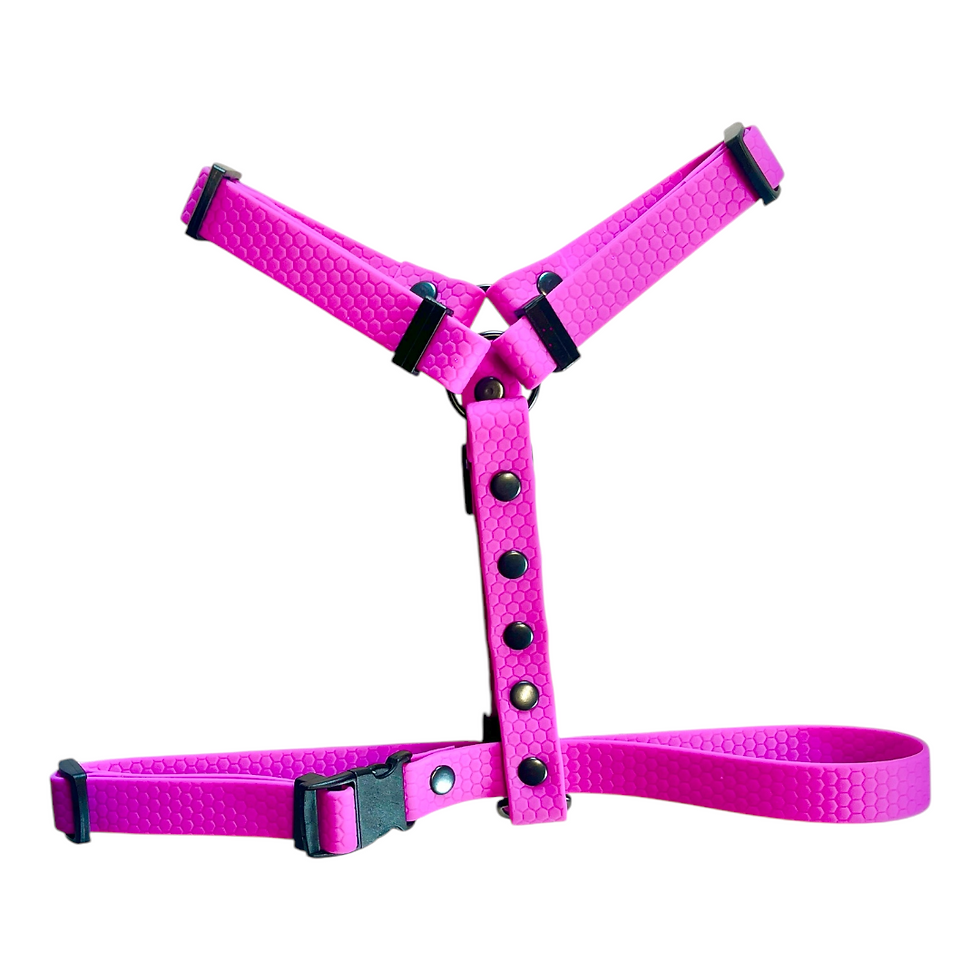 Miniatura: Szelki Guard Hexa w kolorze różowym