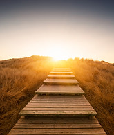 iStock-169987011.jpg