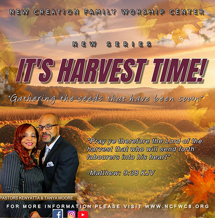 3d Wine Harvest Flyer Template Poster (1).jpg