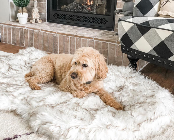 Thumbnail: Beige Plush Pet Dog Mat for Resting and Comfort