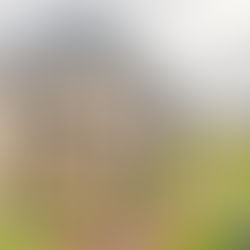 Bonnybank: The Newest Addition to the St Andrews Accommodation Scene