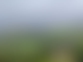 How to connect with nature