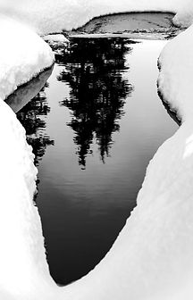 greg-rosenke-lM4Pj40x70Y-unsplash_edited