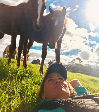 Horses