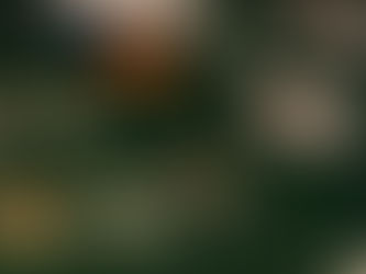 🧀 Le Casino des Fromages : l’animation sensorielle et gourmande qui met du goût dans vos événements !