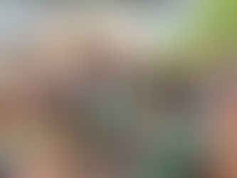 🥇 Meilleure soirée casino à Nancy : AE Casino est la référence pour votre événement