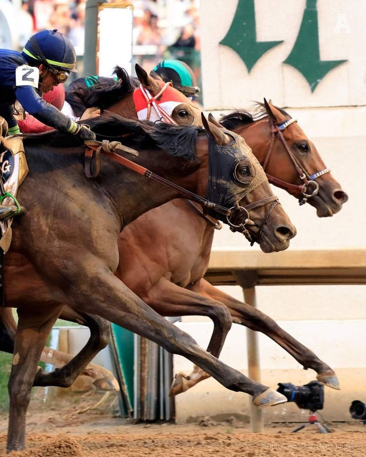 course de chevaux grand derby 