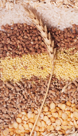 AECasino_Casino_des_bieres_ambiance