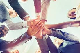 Team building en entreprise : pourquoi l'immersion change tout