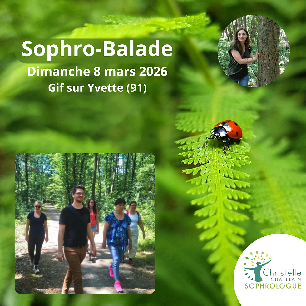 Libérer la charge mental et les tensions corporelles - Balade sophro