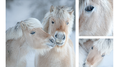 Knallresultater i NM vårrunde 2026