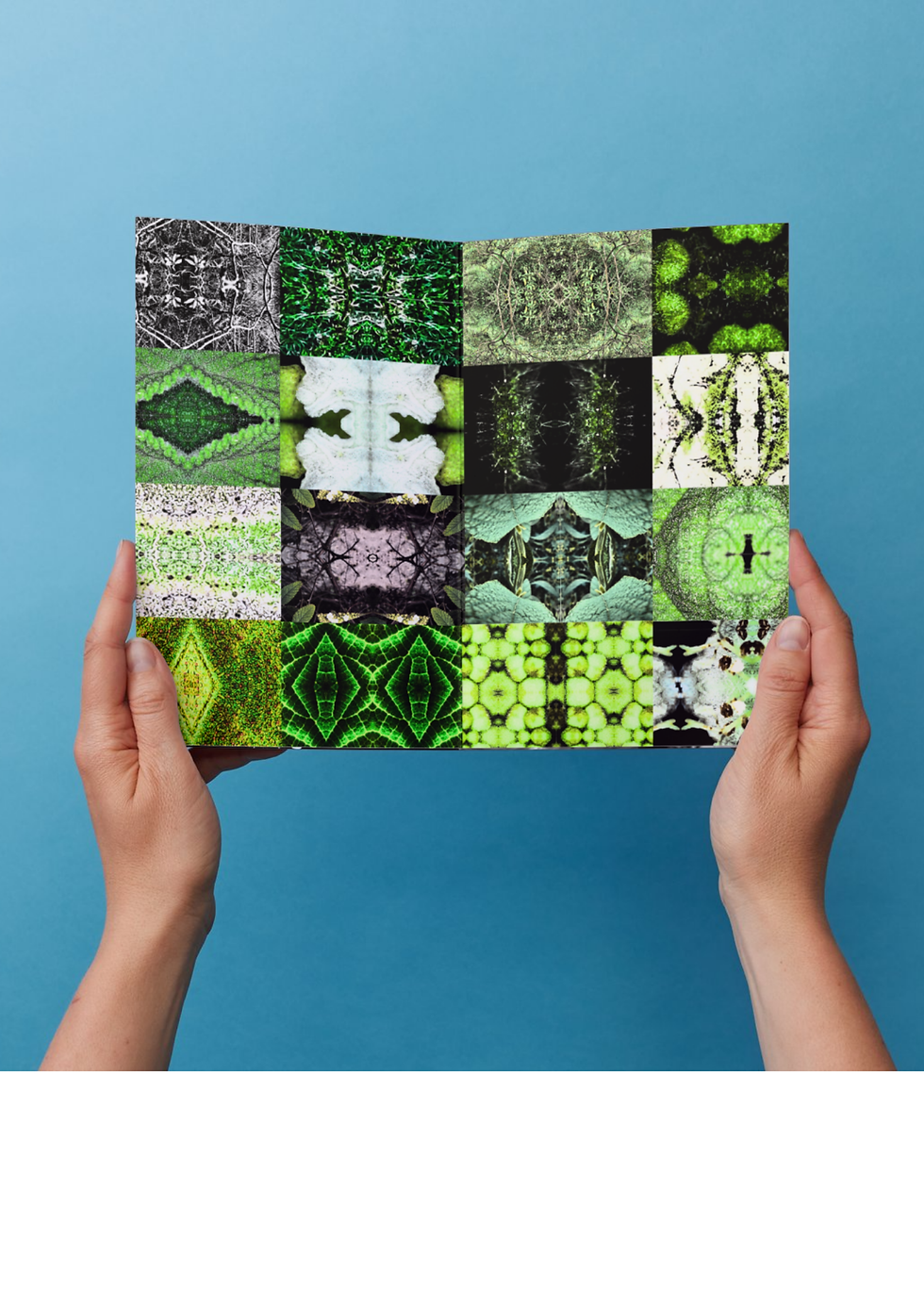 Miniatura: Zine Nativas | Edição Erva Baleeira