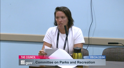 Testimony by Kaitlin Krause, Founder and Executive Director of Rising Tide Effect, on Water Safety Crisis