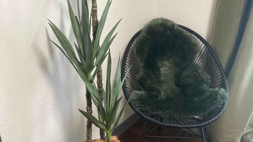 jardinet(ジャルディネ)学芸大学2