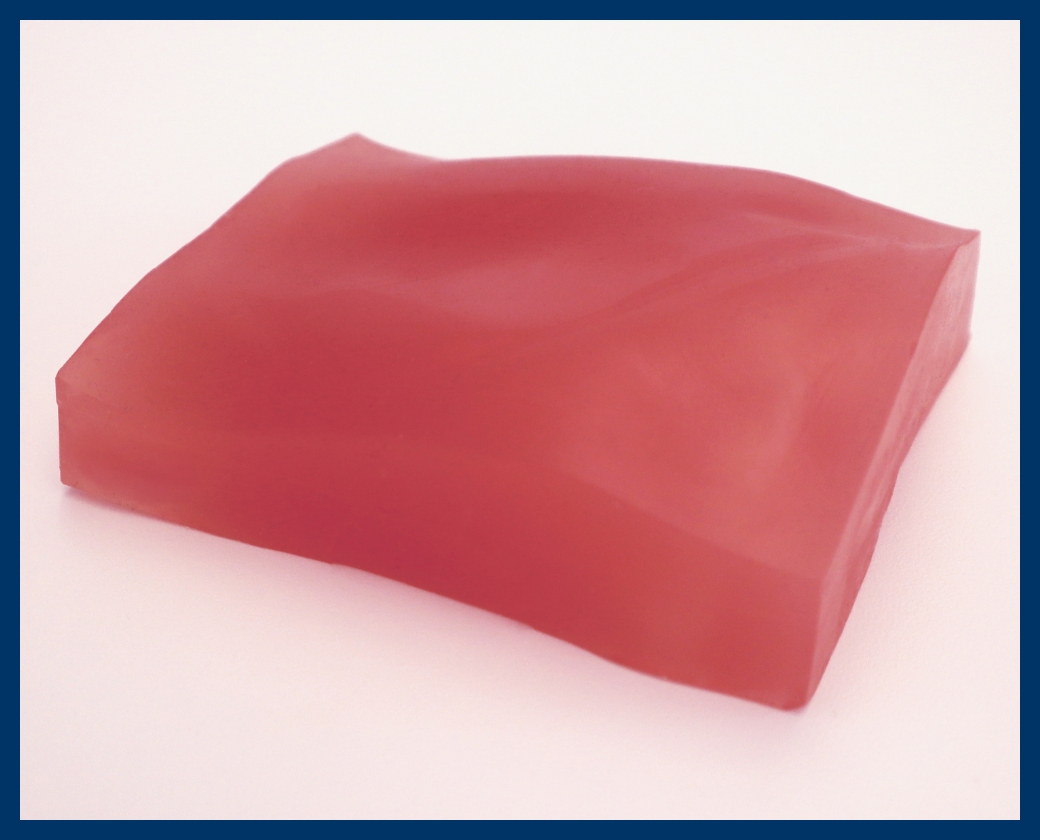 Plan D Tissue Insert
