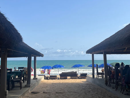 Mon bilan culturel 2024.