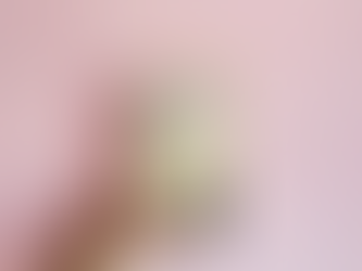 Revue littéraire - "L'œil le plus bleu" de Toni Morrison.