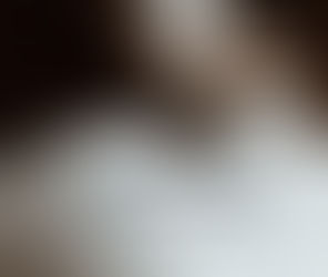 No sabes qué hacer durante la cuarentena? aquà hay una lista con libros para estos dÃas en casa