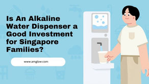 filtered water dispenser